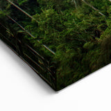 Colombian Scenery Canvas - Wax Palm Trees South America Decor Print