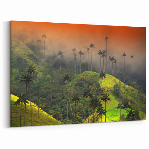 Colombian Landscape Prints - Misty Hills and Wax Palms South America Decor