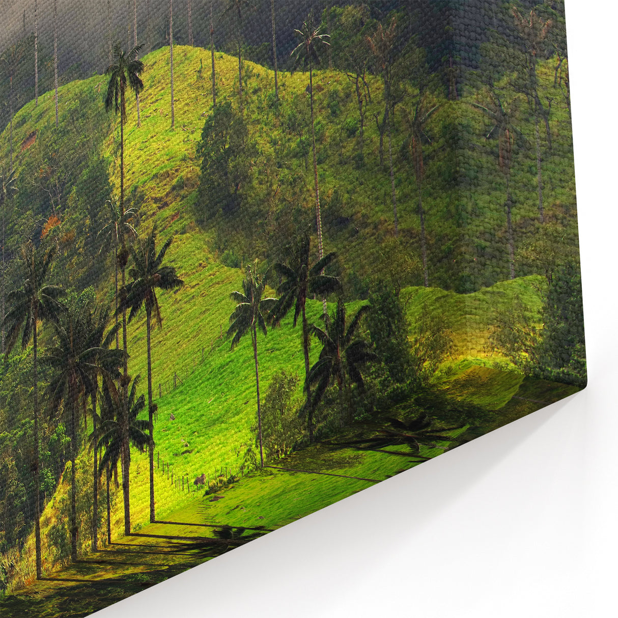 Colombian Landscape Prints - Misty Hills and Wax Palms South America Decor