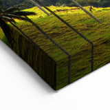 Colombian Landscape Prints - Misty Hills and Wax Palms South America Decor