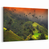 Colombian Scenery Canvas - Misty Cocora Valley Wax Palms South America Decor