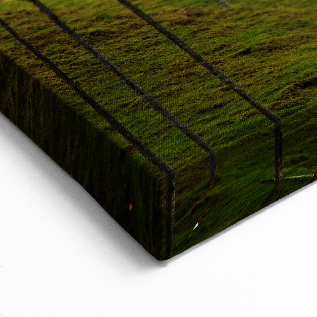 Colombian Scenery Canvas - Misty Cocora Valley Wax Palms South America Decor