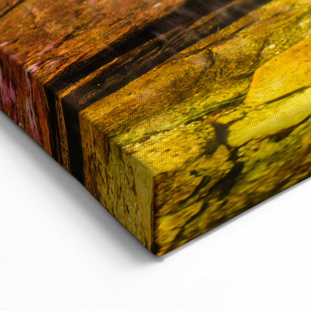 Colombian Landscape Prints - Caño Cristales Waterfall South America Decor