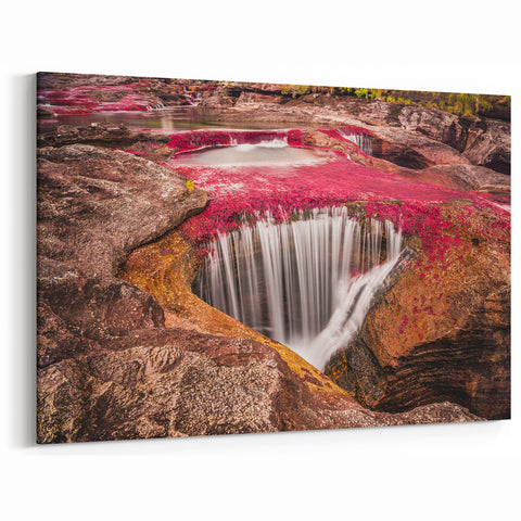 Colombia Photography Art - Caño Cristales Waterfall Vibrant South America Decor