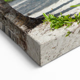 Colombian Beach Wall Art - Tropical Scenery South America Photography Print