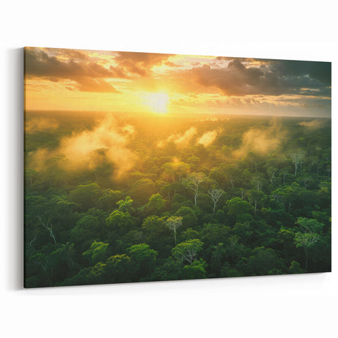 Colombia Sunset Wall Art - Amazon Rainforest Aerial Photography Print