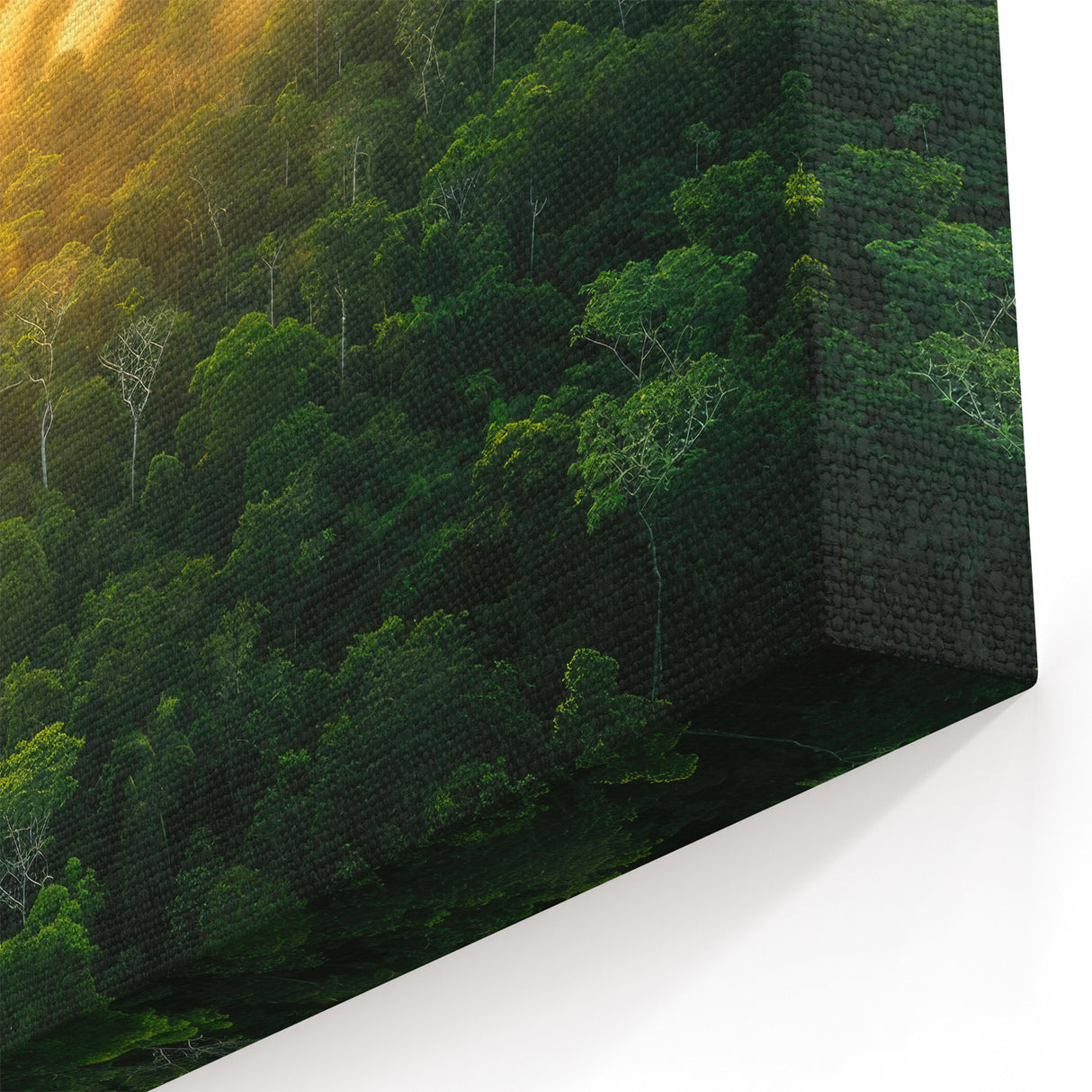 Colombia Sunset Wall Art - Amazon Rainforest Aerial Photography Print