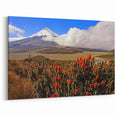 Ecuador Wall Art - Cotopaxi Volcano with Wildflowers Scenic Print