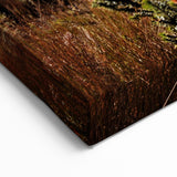 Ecuador Wall Art - Cotopaxi Volcano with Wildflowers Scenic Print