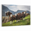 Cumbria Landscape Art - Herdwick Sheep in Scenic Lake District Print