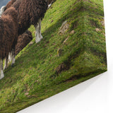 Cumbria Landscape Art - Herdwick Sheep in Scenic Lake District Print