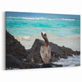 Ecuador Coastal Wildlife Art - Pelican on Rocky Shoreline Photography