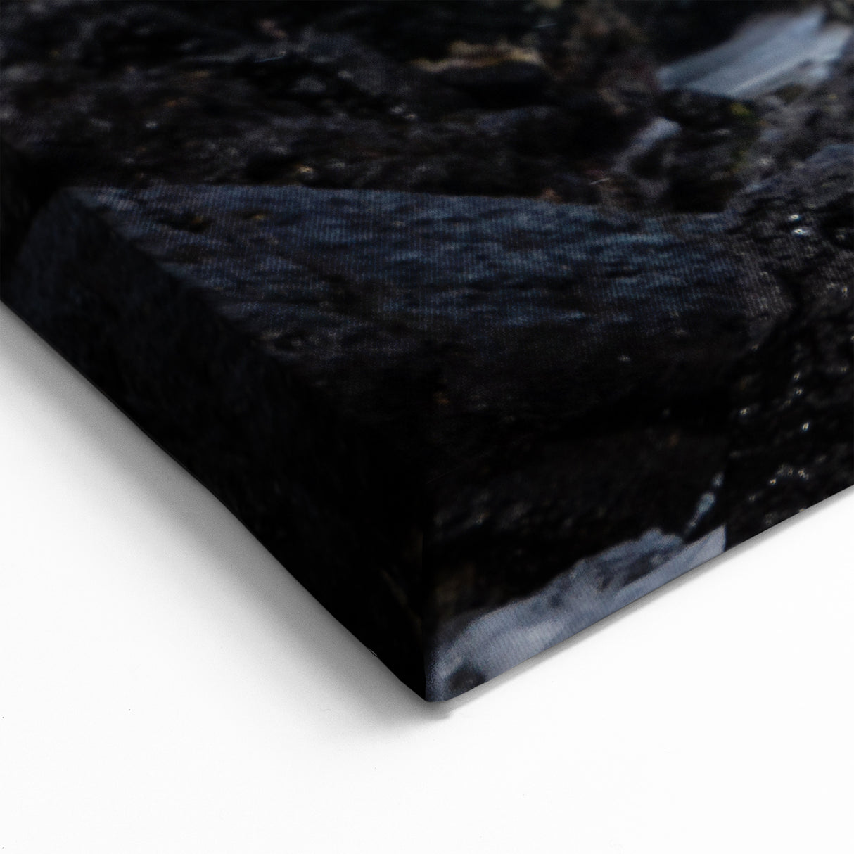 Ecuador Coastal Wildlife Art - Pelican on Rocky Shoreline Photography