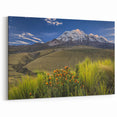 Framed Ecuadorian Scenery Art - Chimborazo Mountain Landscape Print