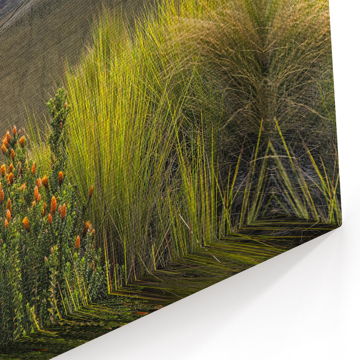 Framed Ecuadorian Scenery Art - Chimborazo Mountain Landscape Print