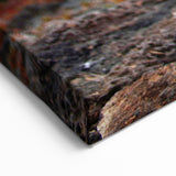 Galapagos Iguana Wildlife Art - Framed Scenic Print & Canvas Photography