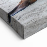 Galapagos Sea Lions - Framed Coastal Photography Art & Scenic Canvas Print