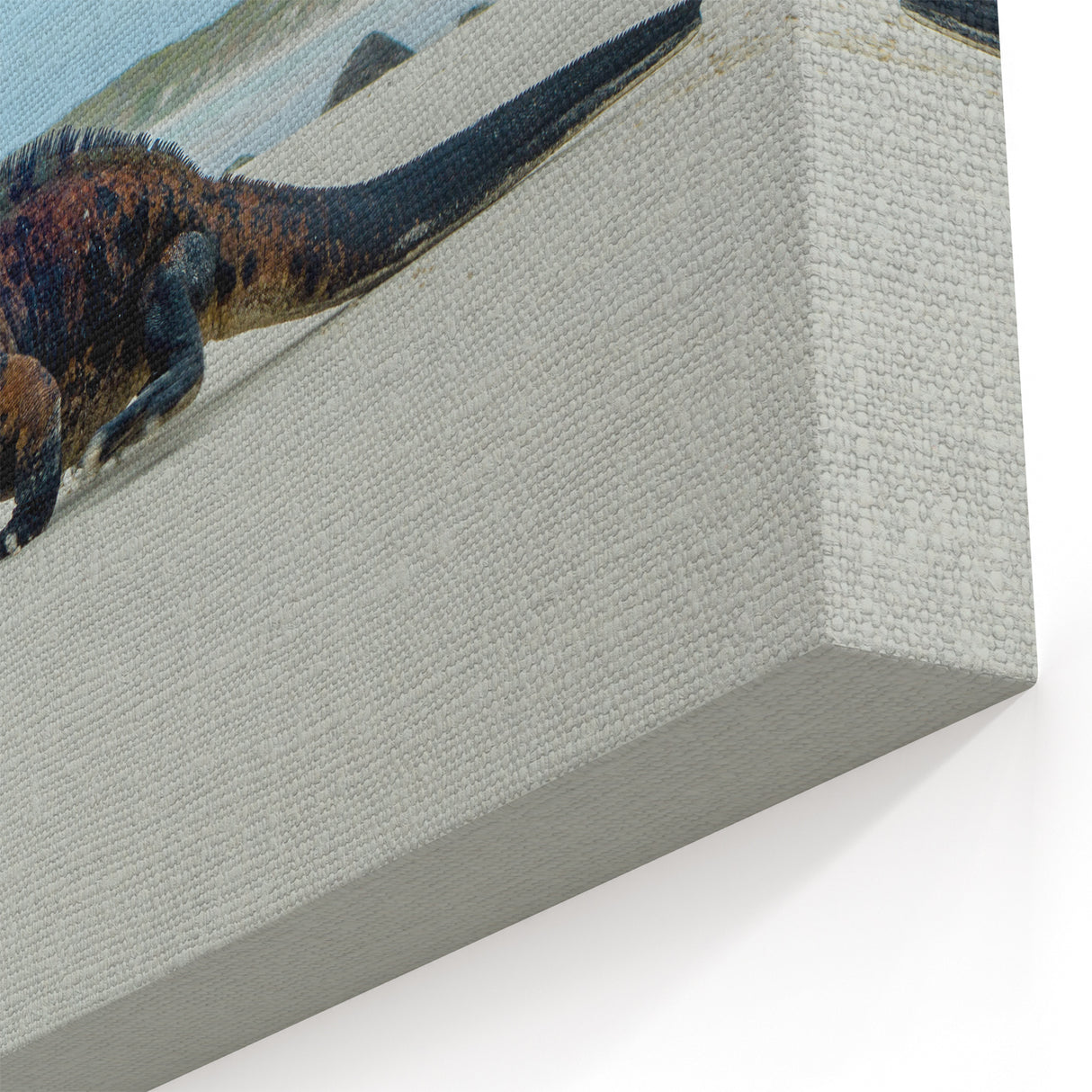 Galapagos Marine Iguana - Framed Beach Wildlife Art & Scenic Canvas Print