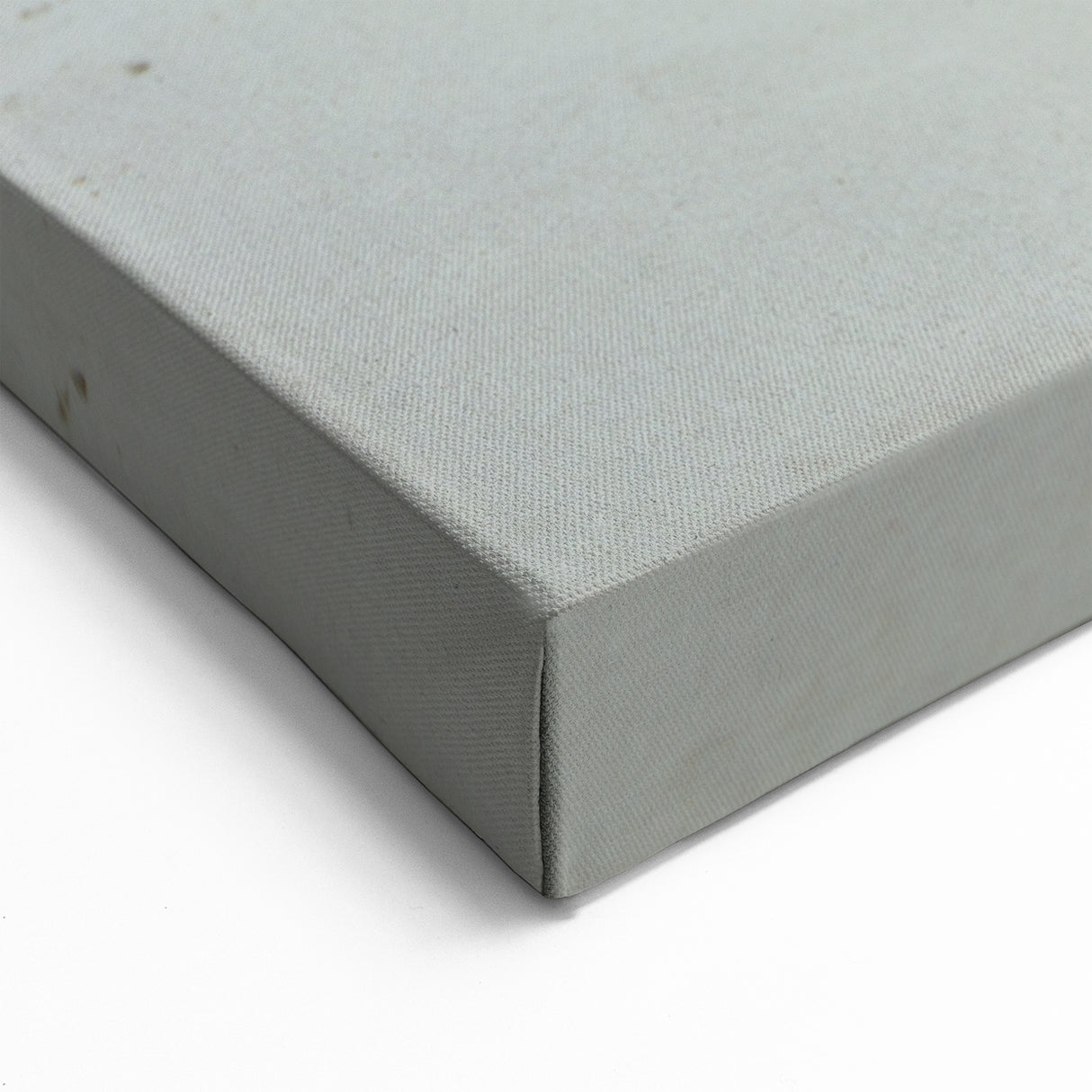 Galapagos Marine Iguana - Framed Beach Wildlife Art & Scenic Canvas Print