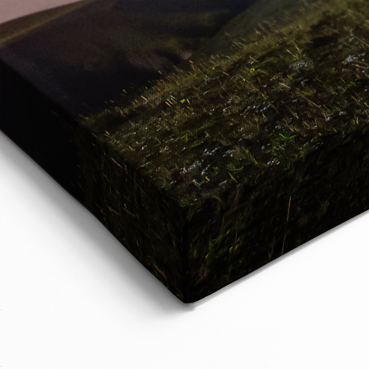 Galapagos Night Sky Star Trails - Framed Mountain Photography & Canvas Art