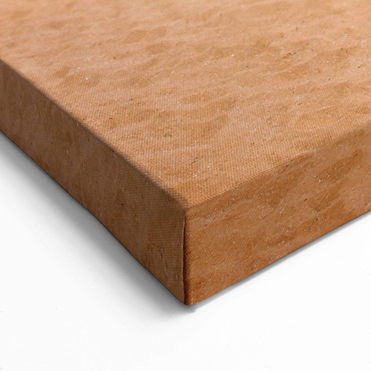 Galapagos Coastal Beach - Framed Scenic Photography Art & Canvas Print