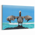 Galapagos Pelican in Flight - Framed Wildlife Photography Art & Canvas Print