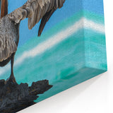 Galapagos Pelican in Flight - Framed Wildlife Photography Art & Canvas Print