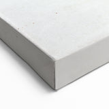 Galapagos Marine Iguana Beach - Framed Wildlife Photography Art & Canvas Print