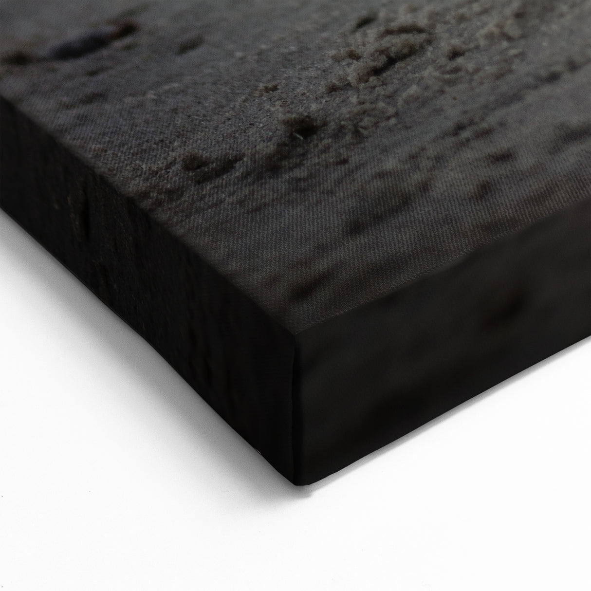 Galapagos Canvas Art - Serene Seal on Shore Ecuador Scenic Prints