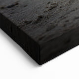 Galapagos Canvas Art - Serene Seal on Shore Ecuador Scenic Prints