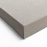 Galapagos Canvas Art - Marine Iguana on Beach Ecuador Scenic Prints