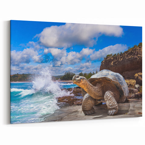 Galapagos Canvas Art - Giant Tortoise by the Shore Ecuador Nature Prints
