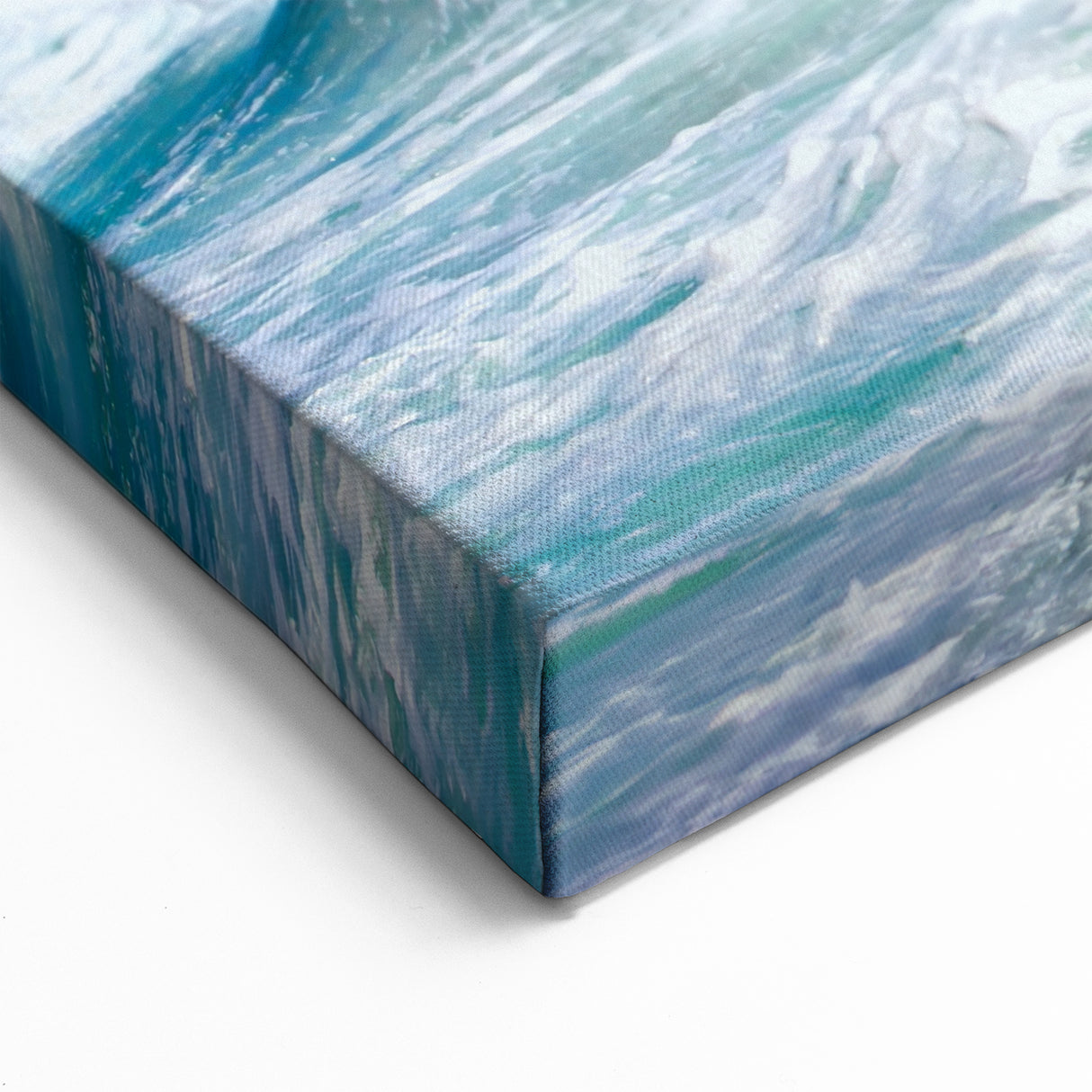 Galapagos Canvas Art - Giant Tortoise by the Shore Ecuador Nature Prints