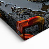 Galapagos Wildlife Prints - Vibrant Crab Ecuador Nature Photography