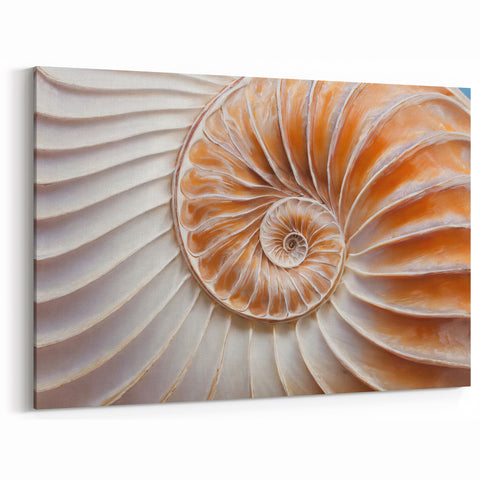 Natural Elements Wall Art | Nautilus Shell Closeup Canvas Print for Coastal Homes