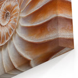 Natural Elements Wall Art | Nautilus Shell Closeup Canvas Print for Coastal Homes