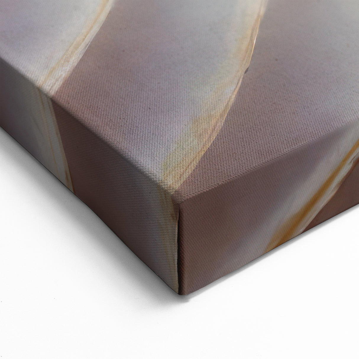 Natural Elements Wall Art | Nautilus Shell Closeup Canvas Print for Coastal Homes