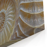 Natural Elements Wall Art | Pearlescent Nautilus Shell Closeup Canvas Print