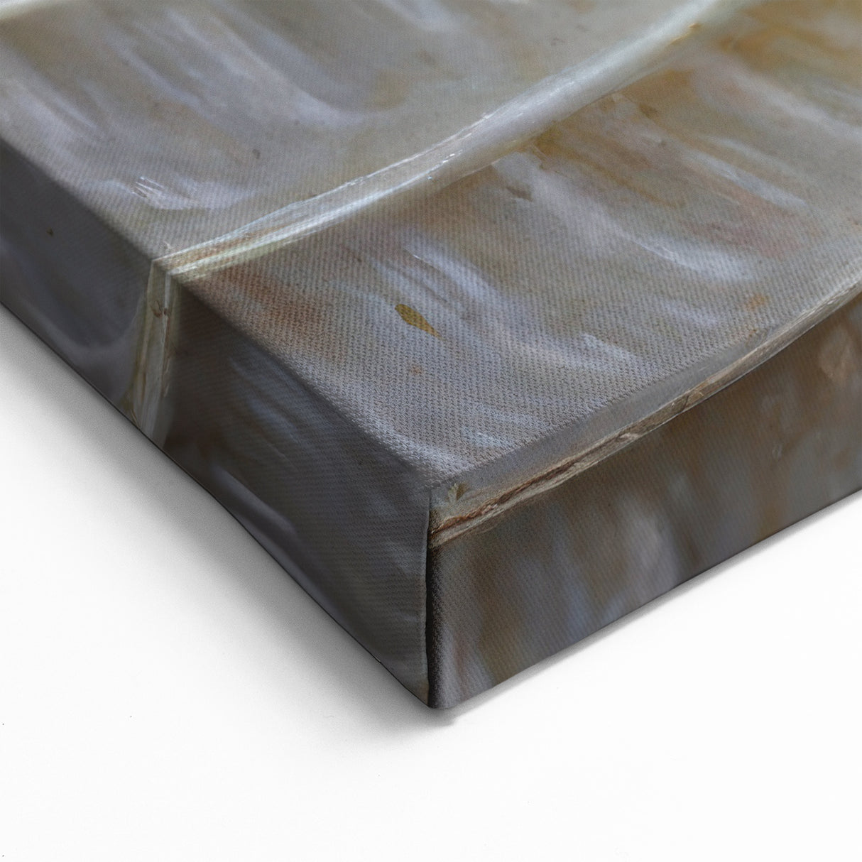 Natural Elements Wall Art | Pearlescent Nautilus Shell Closeup Canvas Print