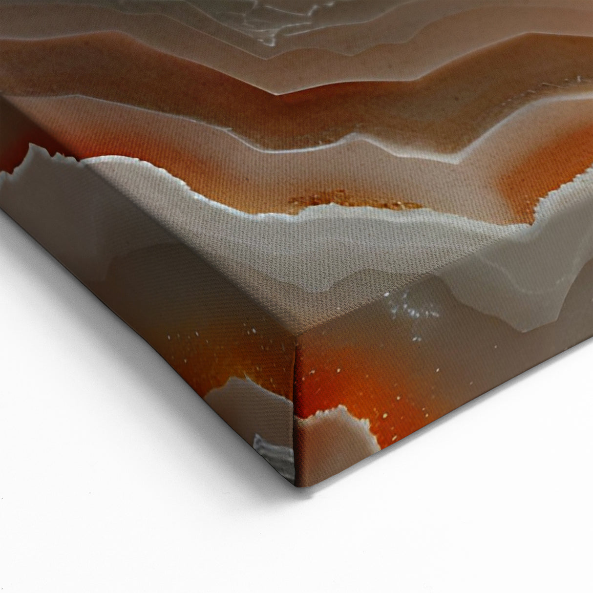 Natural Elements Wall Art - Nature Closeup Canvas Print | Botanical Design