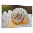 Natural Elements Wall Art – Nature Closeups Spiral Shell on Flower Canvas Print