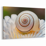 Natural Elements Wall Art – Nature Closeups Spiral Shell on Flower Canvas Print