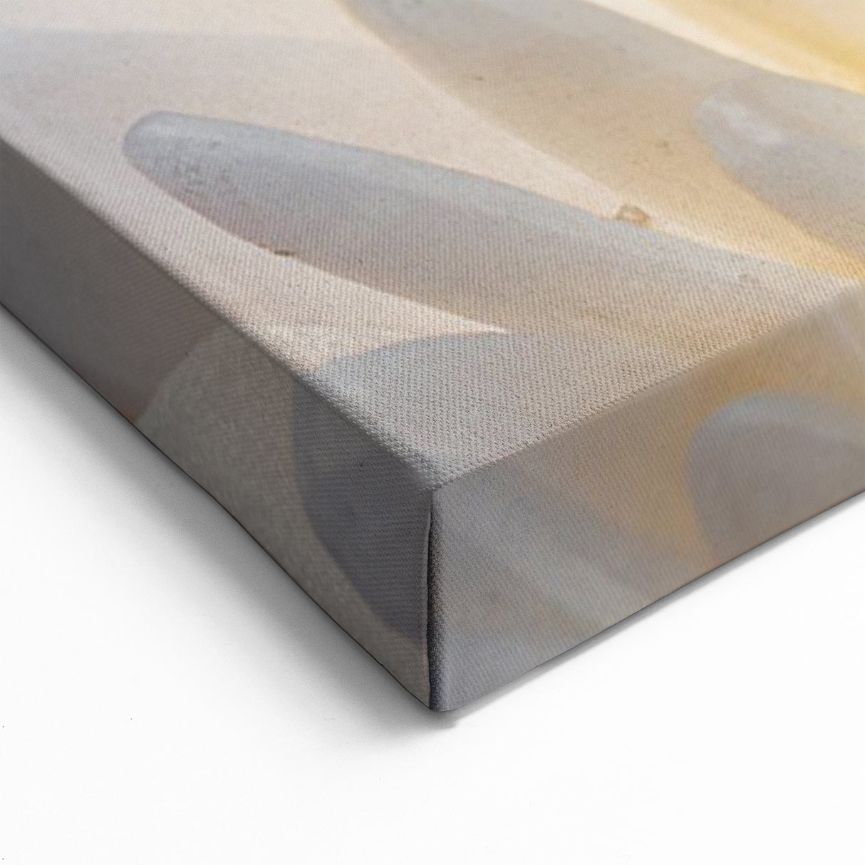 Natural Elements Wall Art – Nature Closeups Spiral Shell on Flower Canvas Print