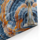 Natural Elements Wall Art – Nature Closeups Fungi Layers Canvas Print