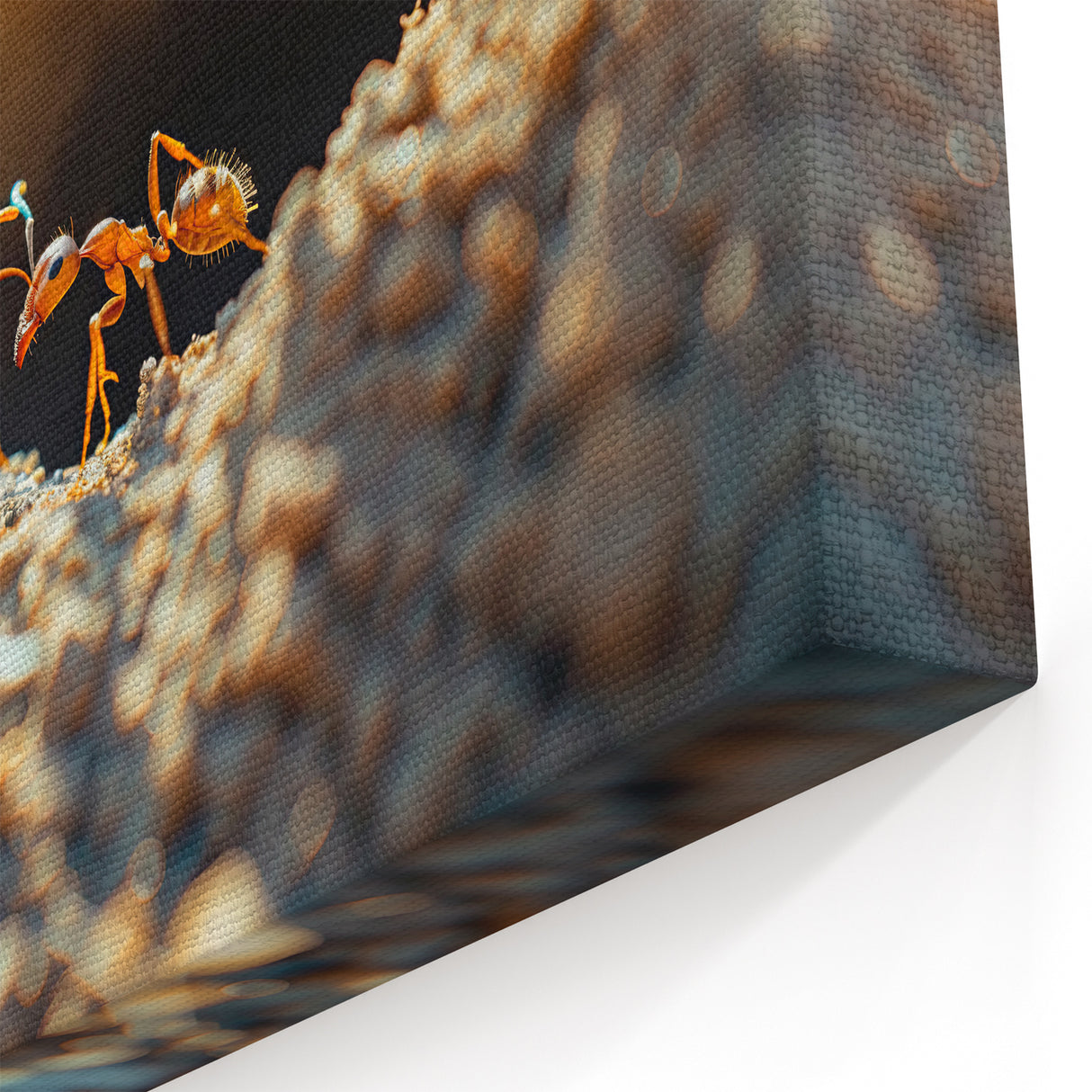 Natural Elements Wall Art – Nature Closeups Ants in Action Canvas Print