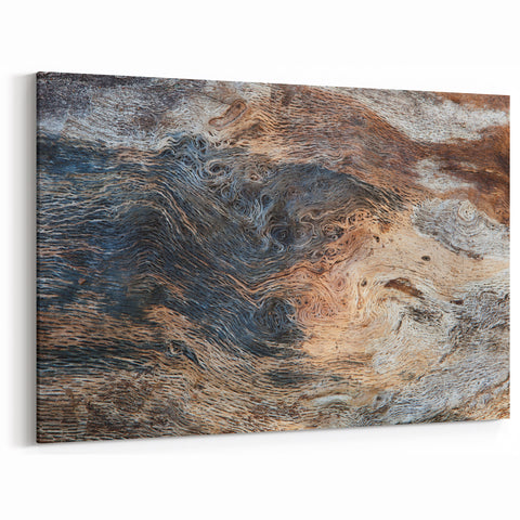 Natural Elements Wall Art – Nature Closeups Wood Grain Texture Canvas Print
