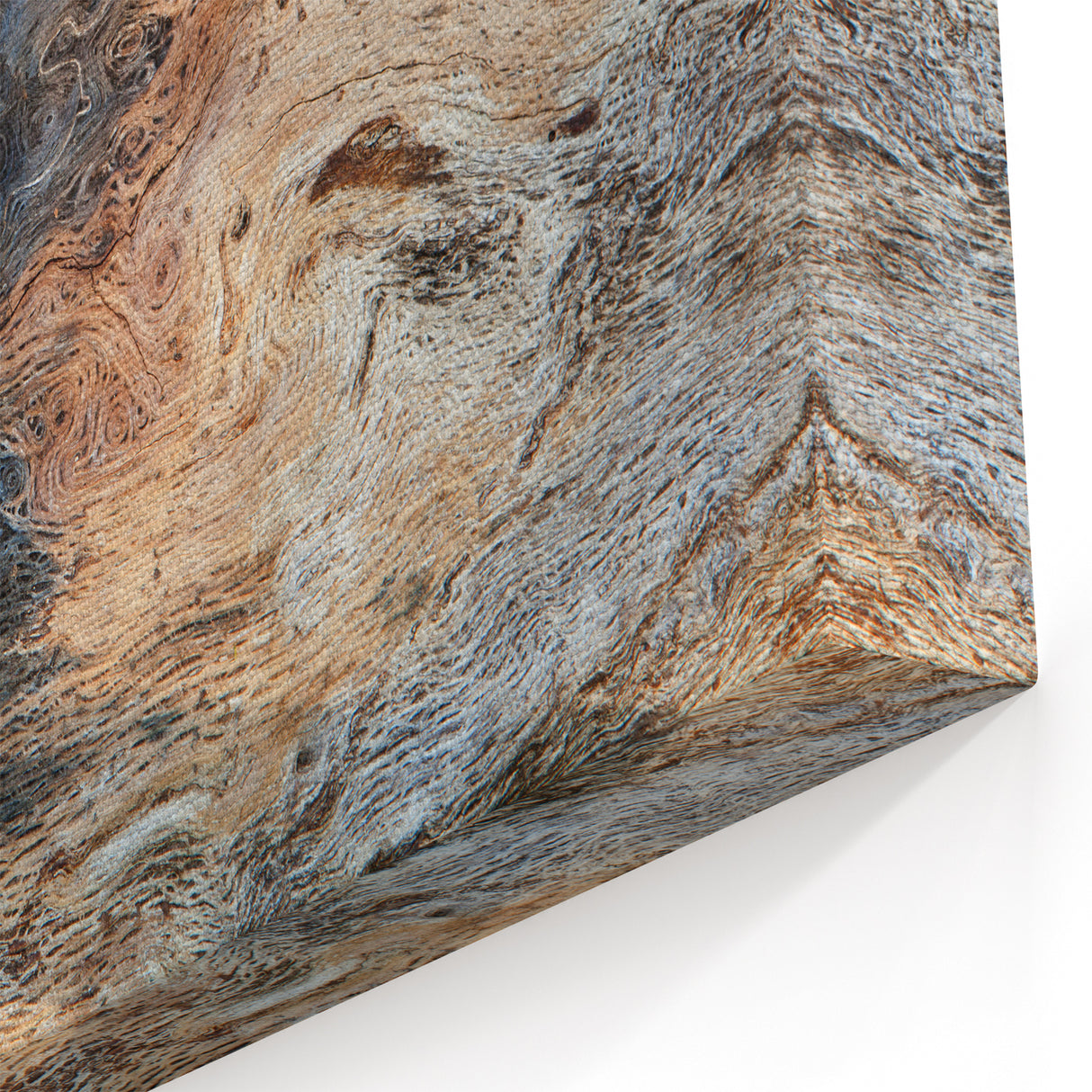 Natural Elements Wall Art – Nature Closeups Wood Grain Texture Canvas Print