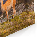 Andean Llama Overlooking Sacred Valley Art - Peru Print