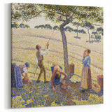 Camille Pissarro Art - Apple Harvest Scene | Pissarro Impressionist Art