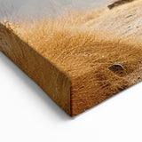 Andean Journey - Traditional Peruvian Attire Wall Art